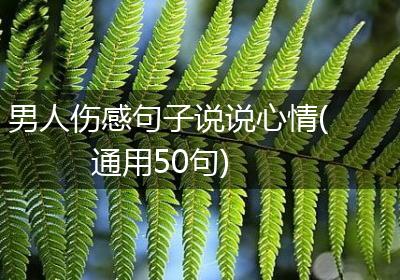 男人伤感句子说说心情(通用50句)
