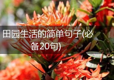 田园生活的简单句子(必备20句)