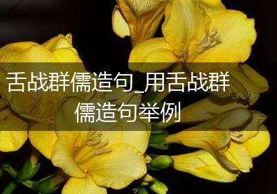 舌战群儒造句_用舌战群儒造句举例