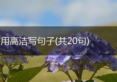 用高洁写句子(共20句)