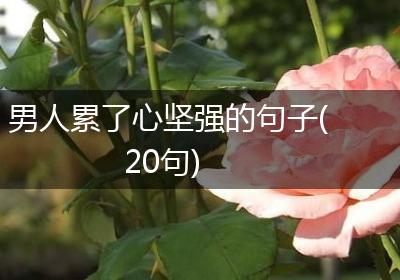 男人累了心坚强的句子(20句)