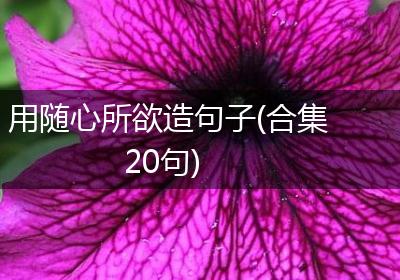 用随心所欲造句子(合集20句)