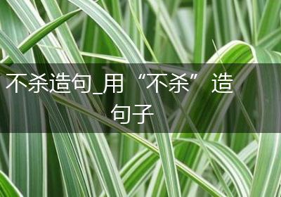 不杀造句_用“不杀”造句子