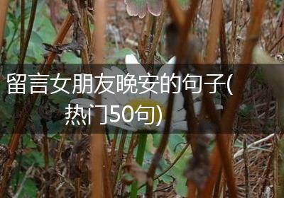 留言女朋友晚安的句子(热门50句)