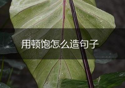 用顿饱怎么造句子
