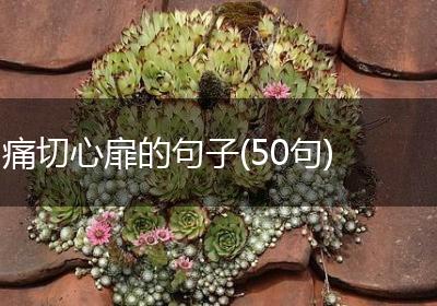 痛切心扉的句子(50句)