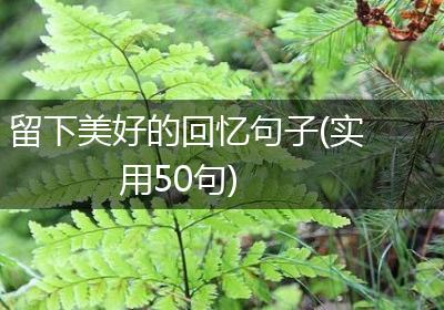 留下美好的回忆句子(实用50句)