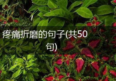 疼痛折磨的句子(共50句)