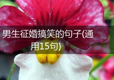 男生征婚搞笑的句子(通用15句)
