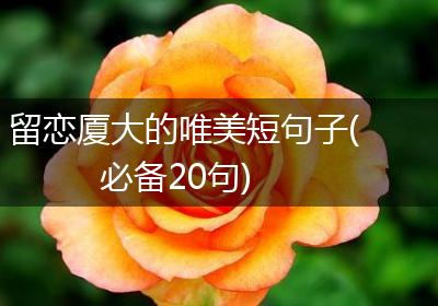 留恋厦大的唯美短句子(必备20句)