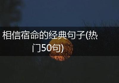 相信宿命的经典句子(热门50句)