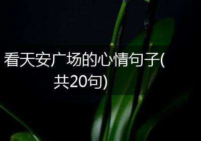 看天安广场的心情句子(共20句)
