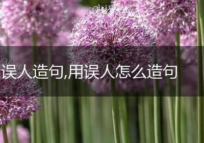 误人造句,用误人怎么造句