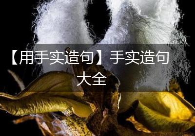 【用手实造句】手实造句大全