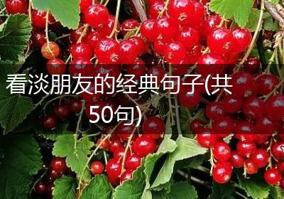 看淡朋友的经典句子(共50句)