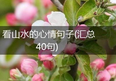 看山水的心情句子(汇总40句)
