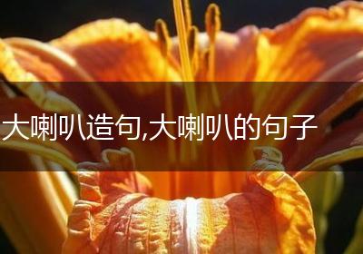大喇叭造句,大喇叭的句子