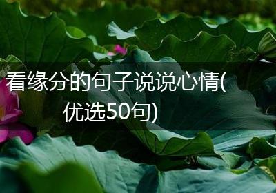 看缘分的句子说说心情(优选50句)