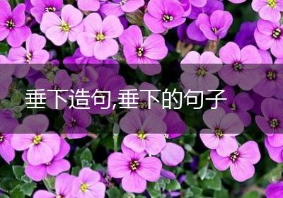 垂下造句,垂下的句子