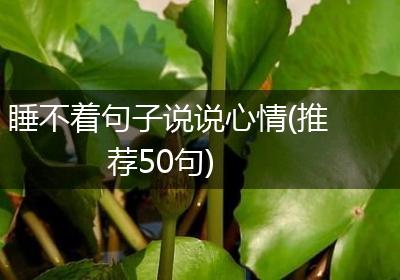 睡不着句子说说心情(推荐50句)