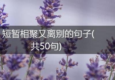 短暂相聚又离别的句子(共50句)