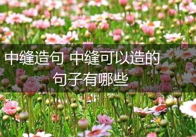 中缝造句 中缝可以造的句子有哪些