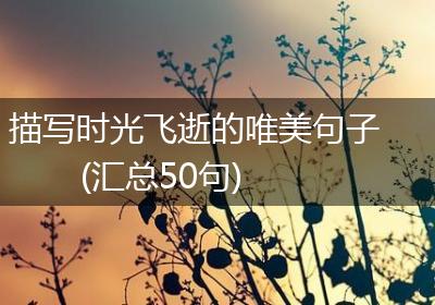 描写时光飞逝的唯美句子(汇总50句)