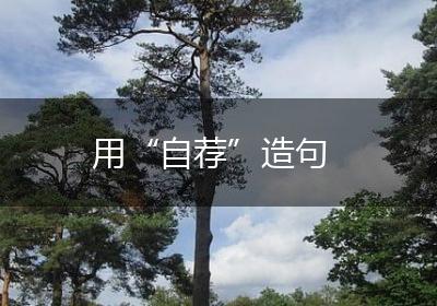用“自荐”造句