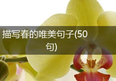描写春的唯美句子(50句)