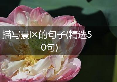 描写景区的句子(精选50句)