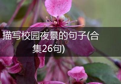 描写校园夜景的句子(合集26句)