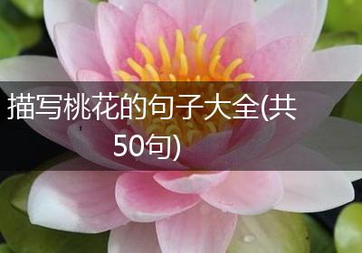 描写桃花的句子大全(共50句)
