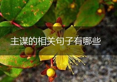 主谋的相关句子有哪些