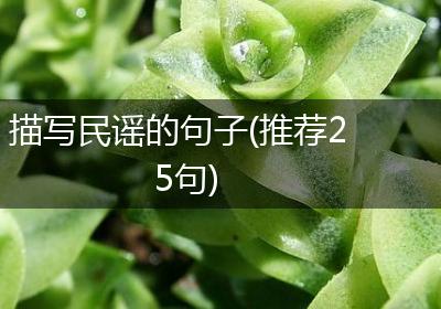 描写民谣的句子(推荐25句)