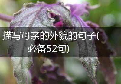 描写母亲的外貌的句子(必备52句)