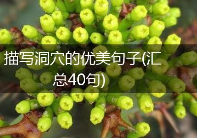 描写洞穴的优美句子(汇总40句)