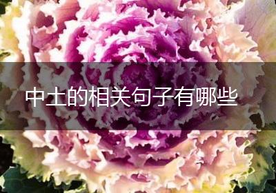 中土的相关句子有哪些