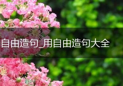 自由造句_用自由造句大全