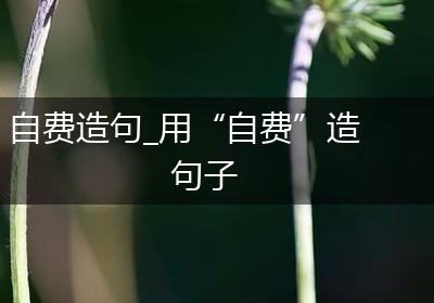 自费造句_用“自费”造句子