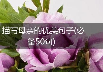 描写母亲的优美句子(必备50句)