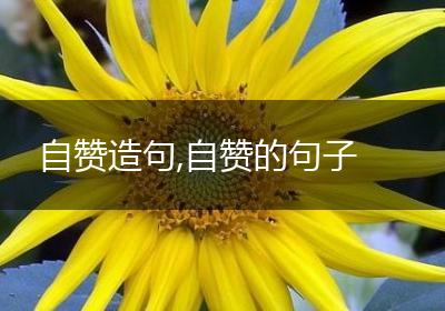自赞造句,自赞的句子