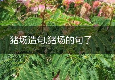 猪场造句,猪场的句子