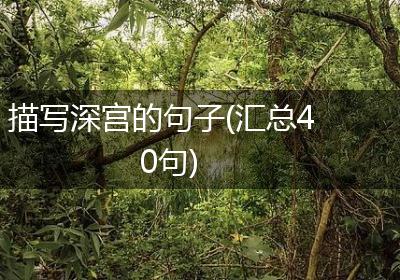 描写深宫的句子(汇总40句)