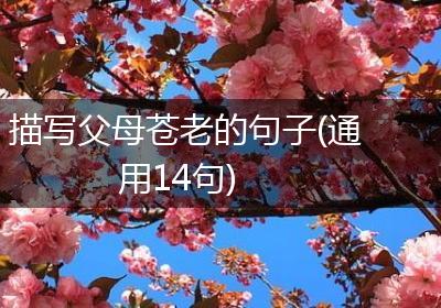描写父母苍老的句子(通用14句)