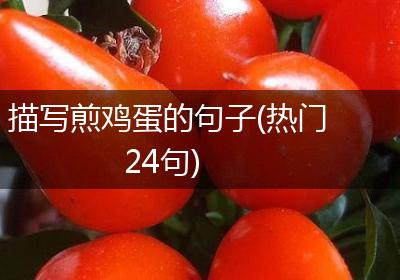 描写煎鸡蛋的句子(热门24句)