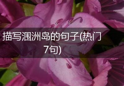 描写涠洲岛的句子(热门7句)