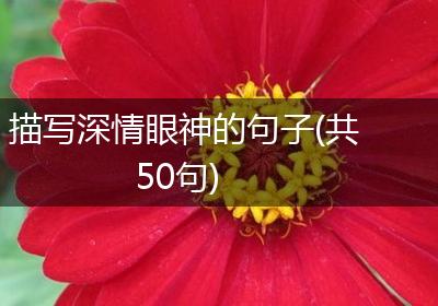 描写深情眼神的句子(共50句)