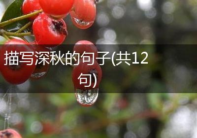 描写深秋的句子(共12句)