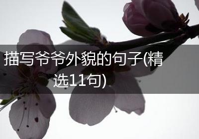 描写爷爷外貌的句子(精选11句)