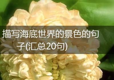 描写海底世界的景色的句子(汇总20句)